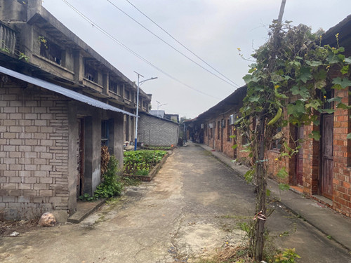 1761754055108605.jpg 图片5_副本.jpg