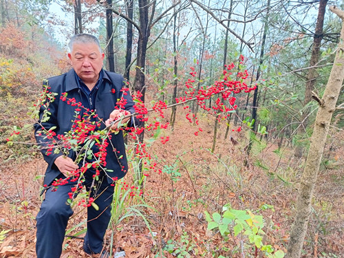 1767184835675093.jpg IMG_20251222_155812_副本.jpg